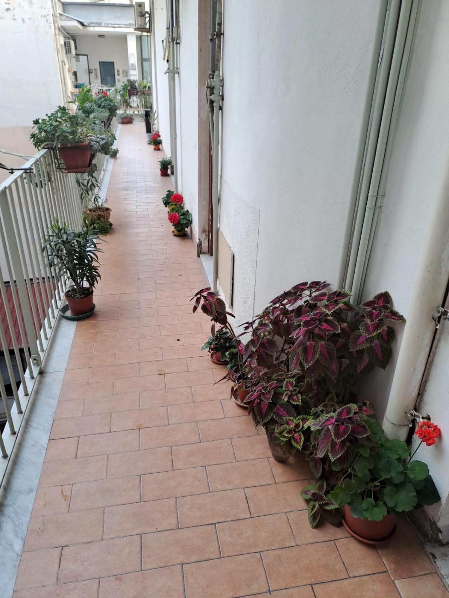 B&B Domus Pina Katania Zewnętrze zdjęcie